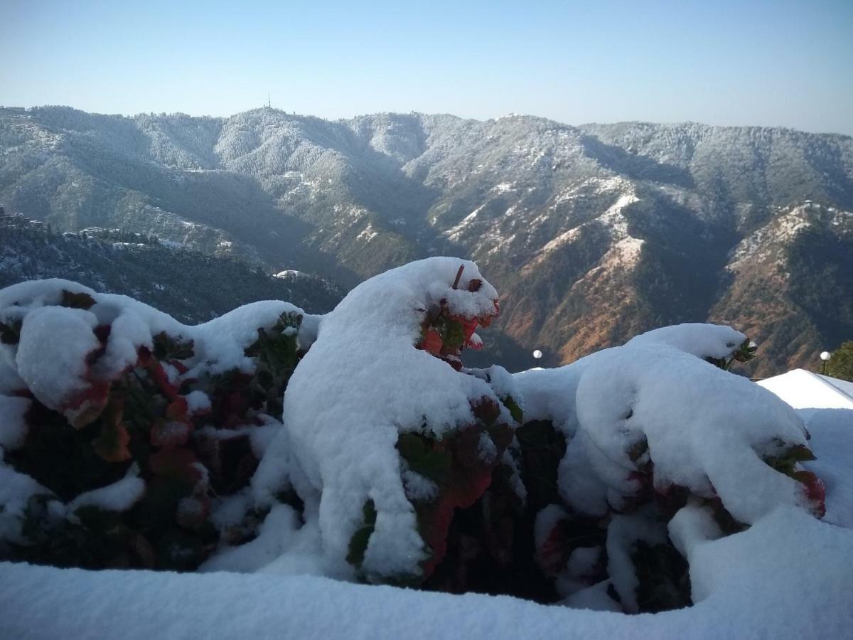 Spangle Heights Shimla, Suites And Residences Exteriér fotografie